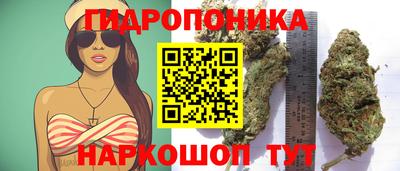СК Волжский