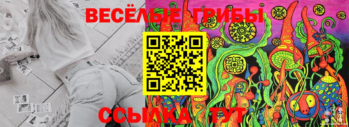 Менделеевск  Галлюциногенные грибы ЛСД  Вход с VPN 
